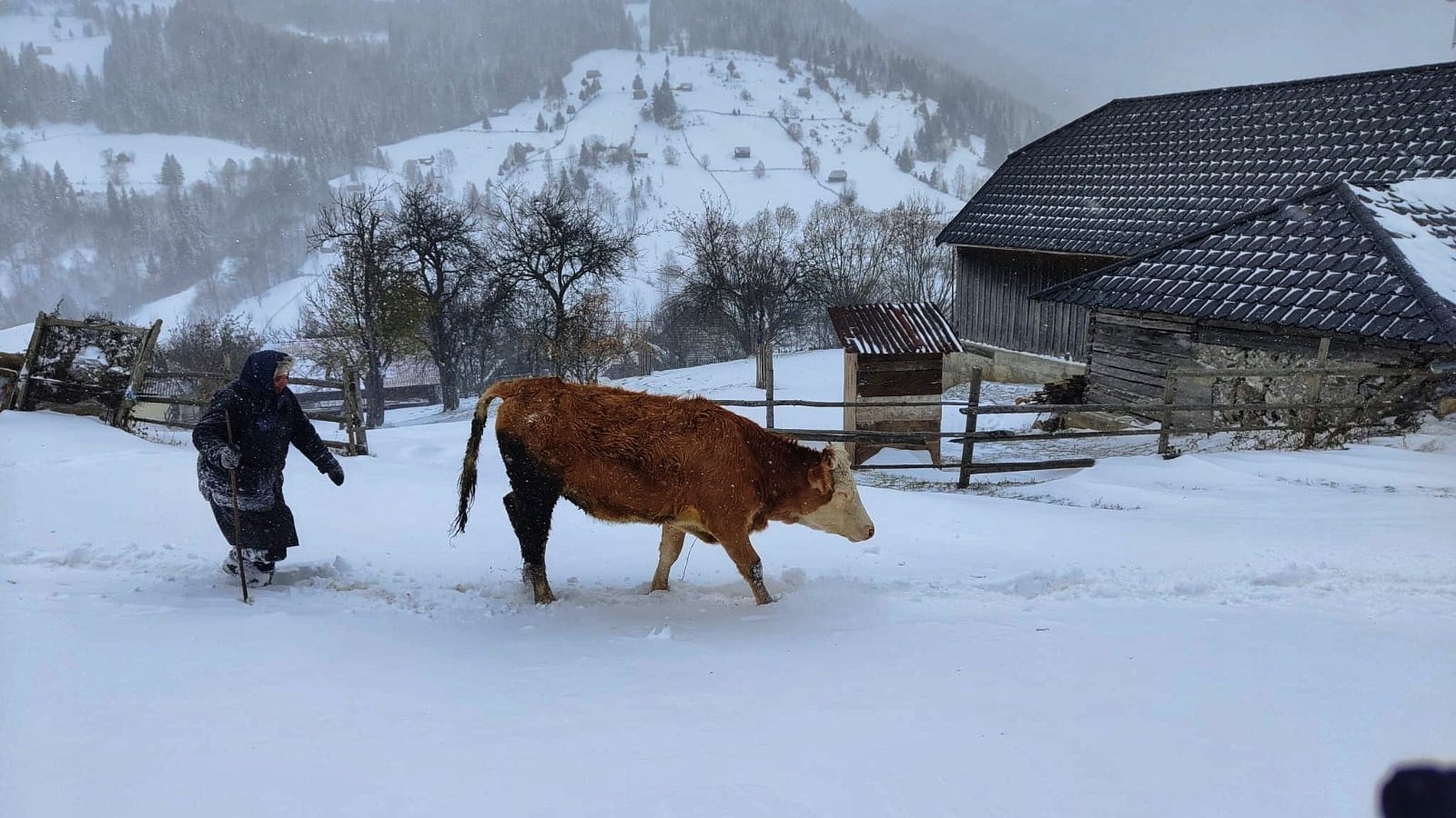 teambuilding, vizita in satele uitate de lume din Romania